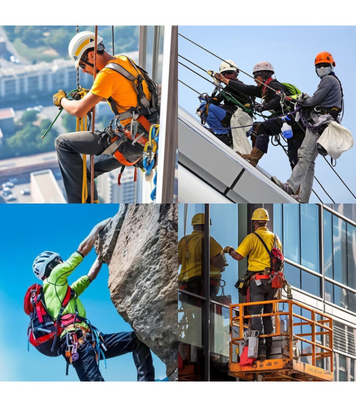 ARNES CINTURON Y CUERPO MEDIO CONFORT