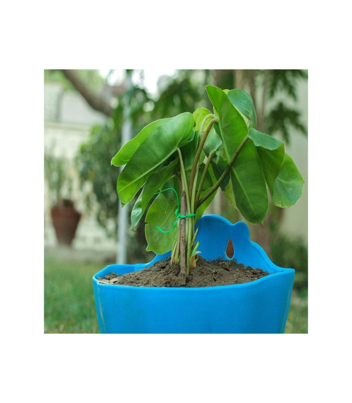 CINTA PARA ATAR 20MT KEYING