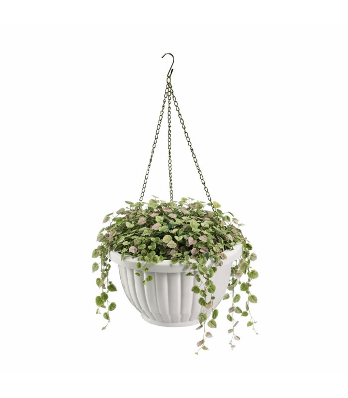 PLANTERA COLGANTE 23x13.5CM