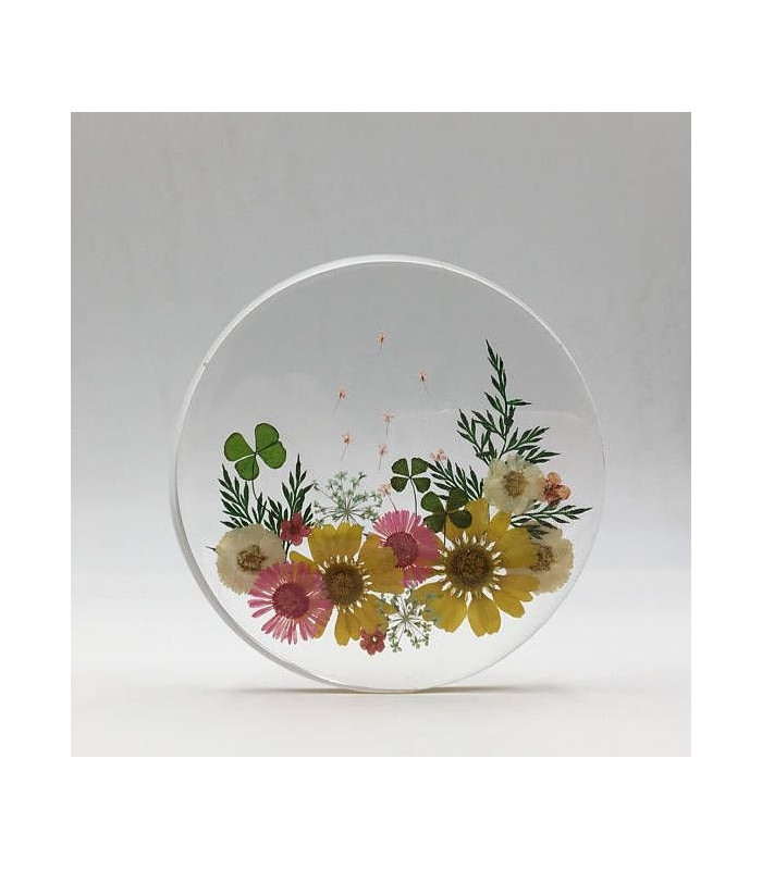 Molde de silicona posavaso circular 10cm