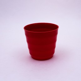 Plantera plastica a rayas