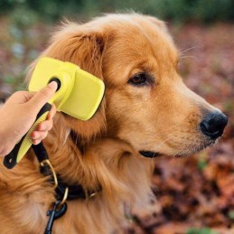 Cepillo de limpieza para mascotas automatico