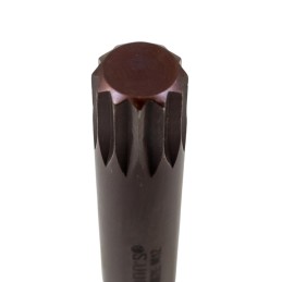 Tubo punta torx estriado m12 1/2 WYNNS
